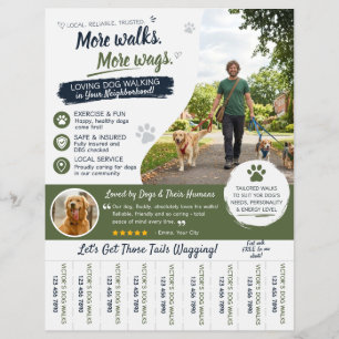 Dog Walking Pet Sitter Business Flyers 