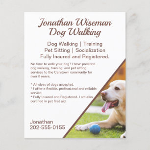 Dog Walking Pet Sitting Business Promotional Flyer