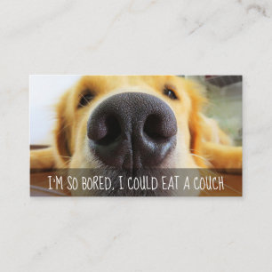 Dog Walking Service Customisable Promotional Card