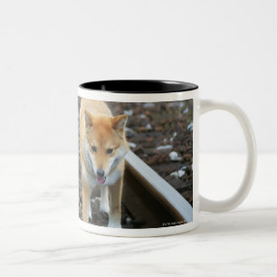 Dog walking track Two-Tone coffee mug