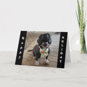 **DOG WANT MERRY CHRISTMAS & A BONE** AT CHRISTMAS HOLIDAY CARD