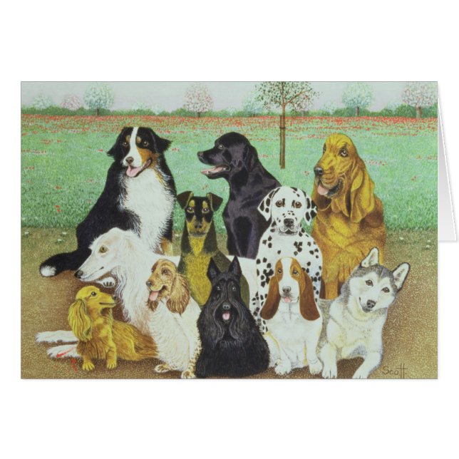 Dog Watch (Front Horizontal)