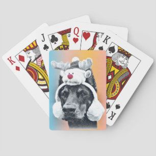Dog wearing a Reindeer Hat Playing Cards