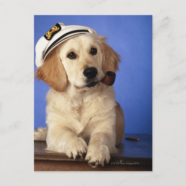 Dog wearing cap, holding smoke pipe postcard (Front)