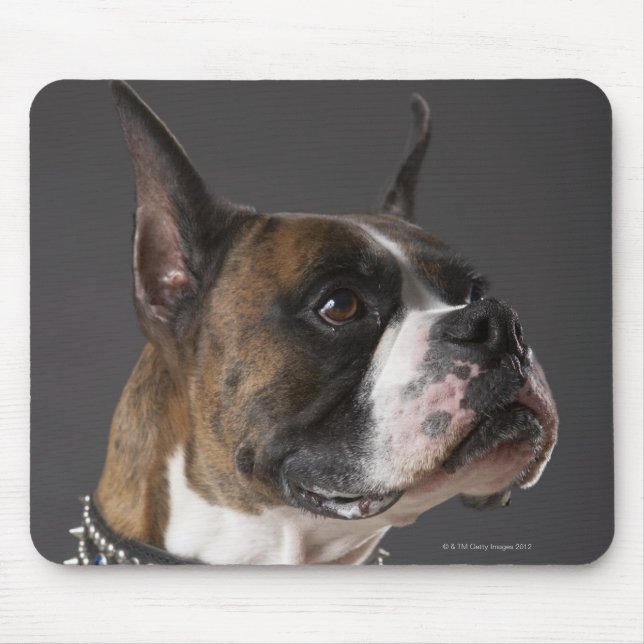 Dog wearing collar, looking away mouse pad (Front)