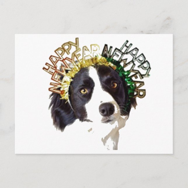Dog Wearing Happy New Year Hats Holiday Postcard (Front)