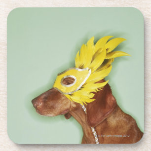 Dog wearing mask coaster