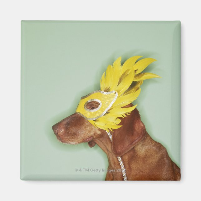 Dog wearing mask magnet (Front)