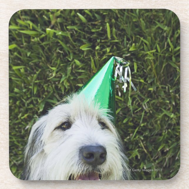 Dog wearing party hat coaster (Front)