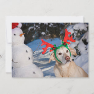 Dog Wearing Reindeer Antlers Holiday Card