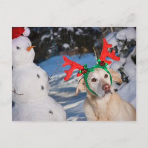 Dog Wearing Reindeer Antlers Holiday Postcard
