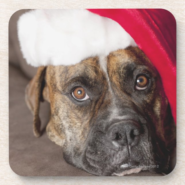 Dog wearing Santa hat Coaster (Front)