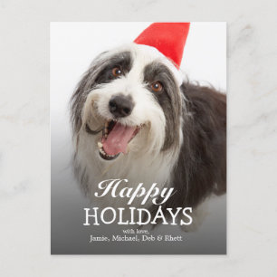 Dog wearing Santa hat Holiday Postcard