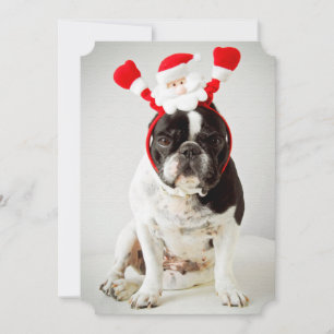 Dog wearing santa headband holiday card