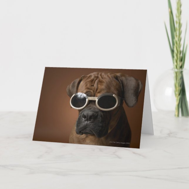 Dog wearing sunglasses card (Front)