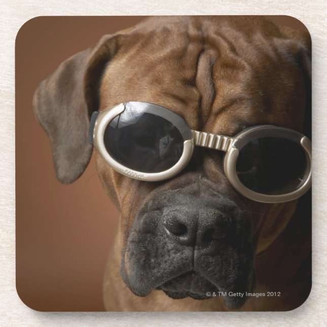 Dog wearing sunglasses coaster (Front)