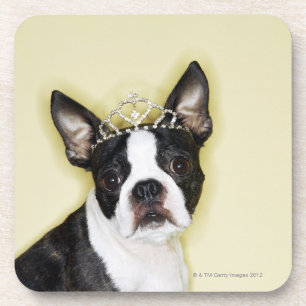 Dog wearing tiara coaster