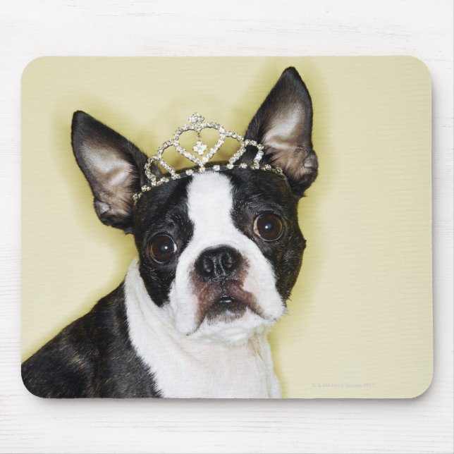Dog wearing tiara mouse pad (Front)
