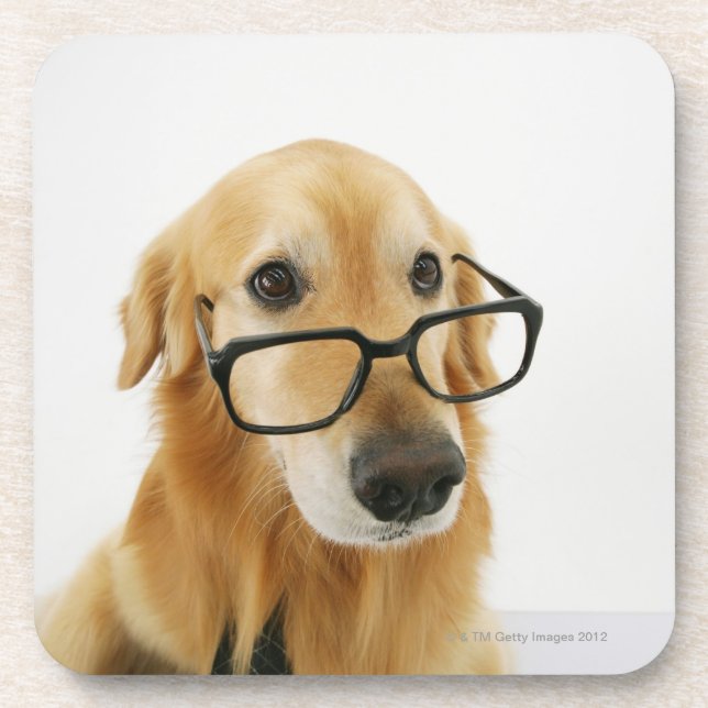 Dog wearing  tie and glasses sitting on chair coaster (Front)