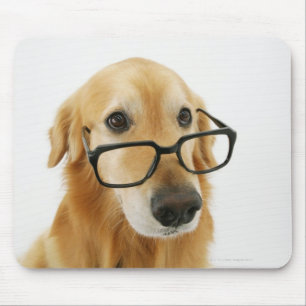 Dog wearing  tie and glasses sitting on chair in mouse pad