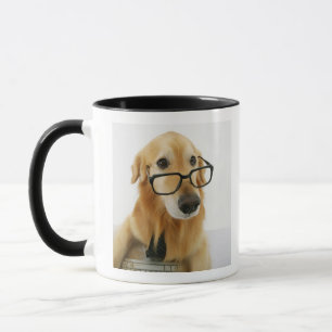 Dog wearing tie and glasses sitting on chair in mug