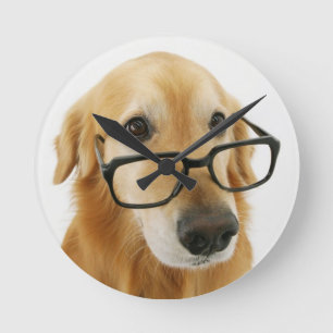 Dog wearing tie and glasses sitting on chair round clock