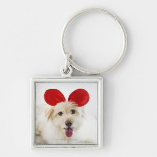 Dog wearing toy ears on bed key ring