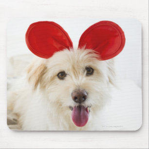 Dog wearing toy ears on bed mouse pad