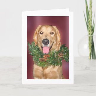 Dog wearing wreath holiday card
