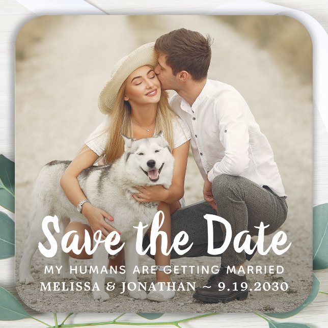 Dog Wedding Custom Pet Couple Photo Save The Date Square Paper Coaster (Creator Uploaded)