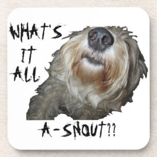 Dog "WHAT'S IT ALL A-SNOUT??" Coasters - Set of 6