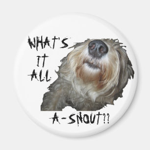 Dog "WHAT'S IT ALL A-SNOUT??" Magnet