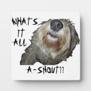 Dog "WHAT'S IT ALL A-SNOUT??" Plaque