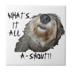 Dog "WHAT'S IT ALL A-SNOUT??" Tile