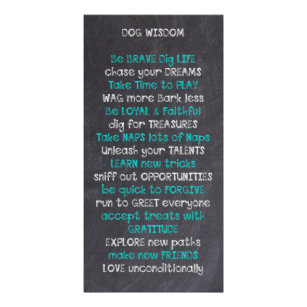 Dog Wisdom Quote Photo Print