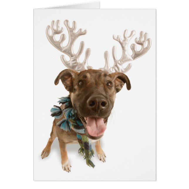 Dog with antlers (Front)