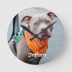Dog with Bandanna Round Clock