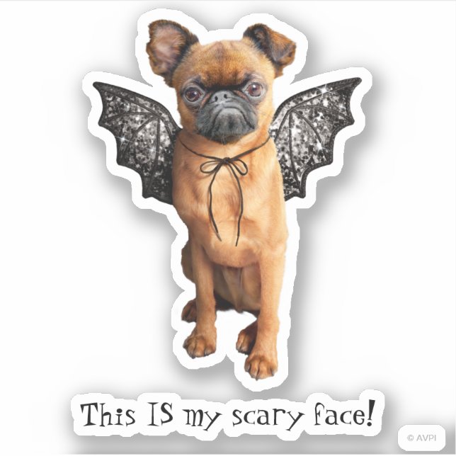 Dog With Bat Wings (Front)