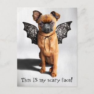 Dog With Bat Wings Invitation Postcard