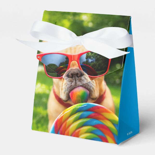 Dog With Big Lollipop Favour Box (Front Side)