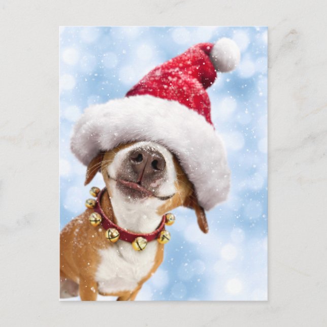 Dog With Big Santa Hat Invitation Postcard (Front)