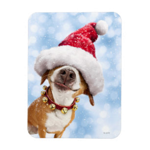 Dog With Big Santa Hat Magnet