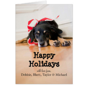 Dog with Christmas ribbons
