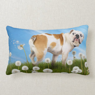 Dog With Dandelion Lumbar Cushion