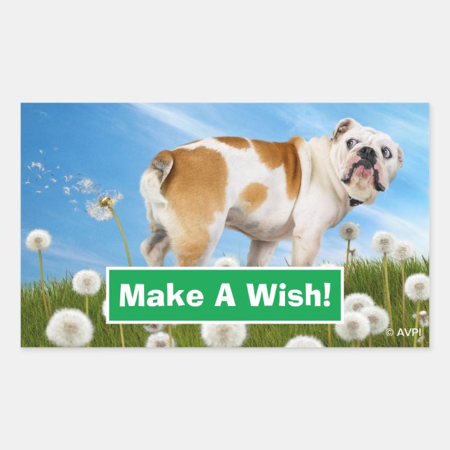 Dog With Dandelion Rectangular Sticker (Front)