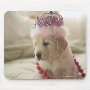 Dog with decorations on bed mouse pad