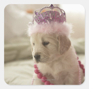 Dog with decorations on bed square sticker