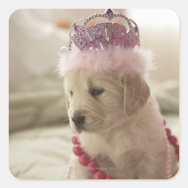 Dog with decorations on bed square sticker (Front)