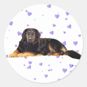 Dog with Falling purple Hearts Classic Round Sticker