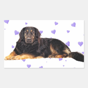 Dog with Falling purple Hearts Rectangular Sticker